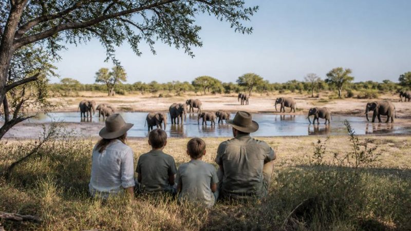 Voyage famille Botswana : organiser un safari sur mesure avec Hors Pistes afrique australe