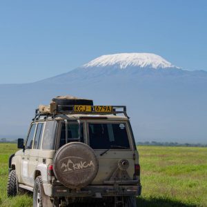 Safari tanzanie et kilimandjaro : associer observation de la faune et trekking
