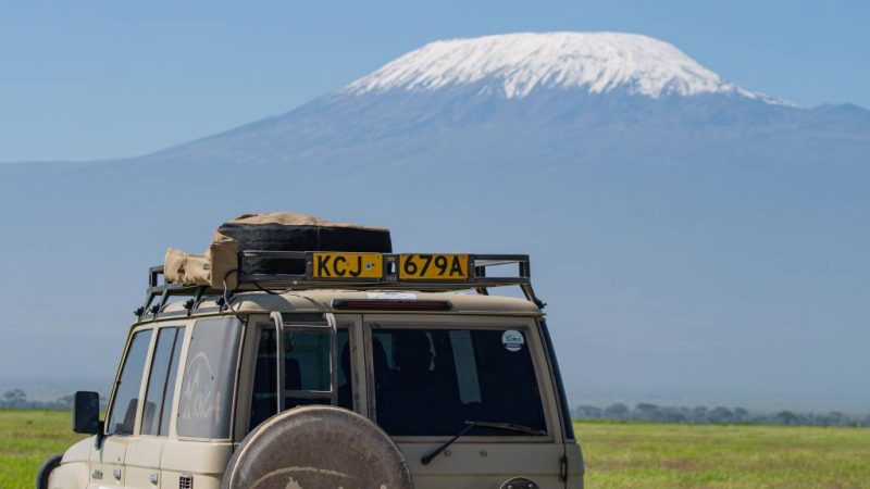 Safari tanzanie et kilimandjaro : associer observation de la faune et trekking