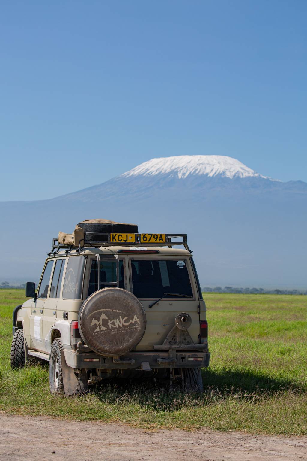 Safari tanzanie et kilimandjaro : associer observation de la faune et trekking